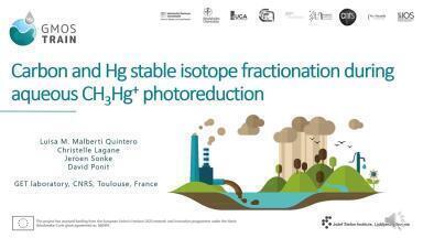 Carbon and Mercury Stable Isotope Fractionation During Aqueous Monomethyl Mercury Photoreduction